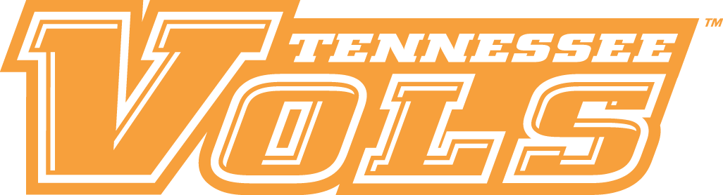 Tennessee Volunteers 2005-Pres Wordmark Logo v3 diy DTF decal sticker